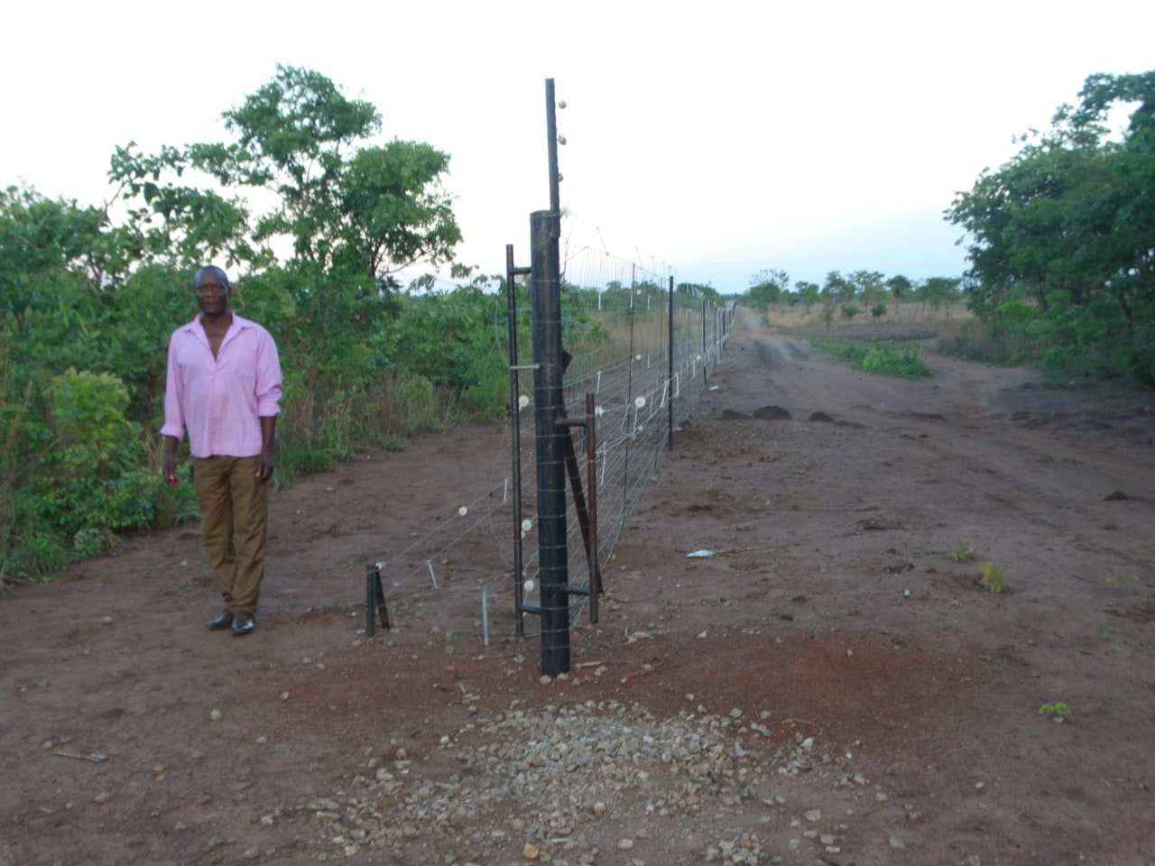 ज़ाम्बिया के किसान इग्नाटियस न्यासुलु कासुंगु के मलावी किनारे पर सौर ऊर्जा से चलने वाली बिजली की बाड़ के पास खड़े हैं।