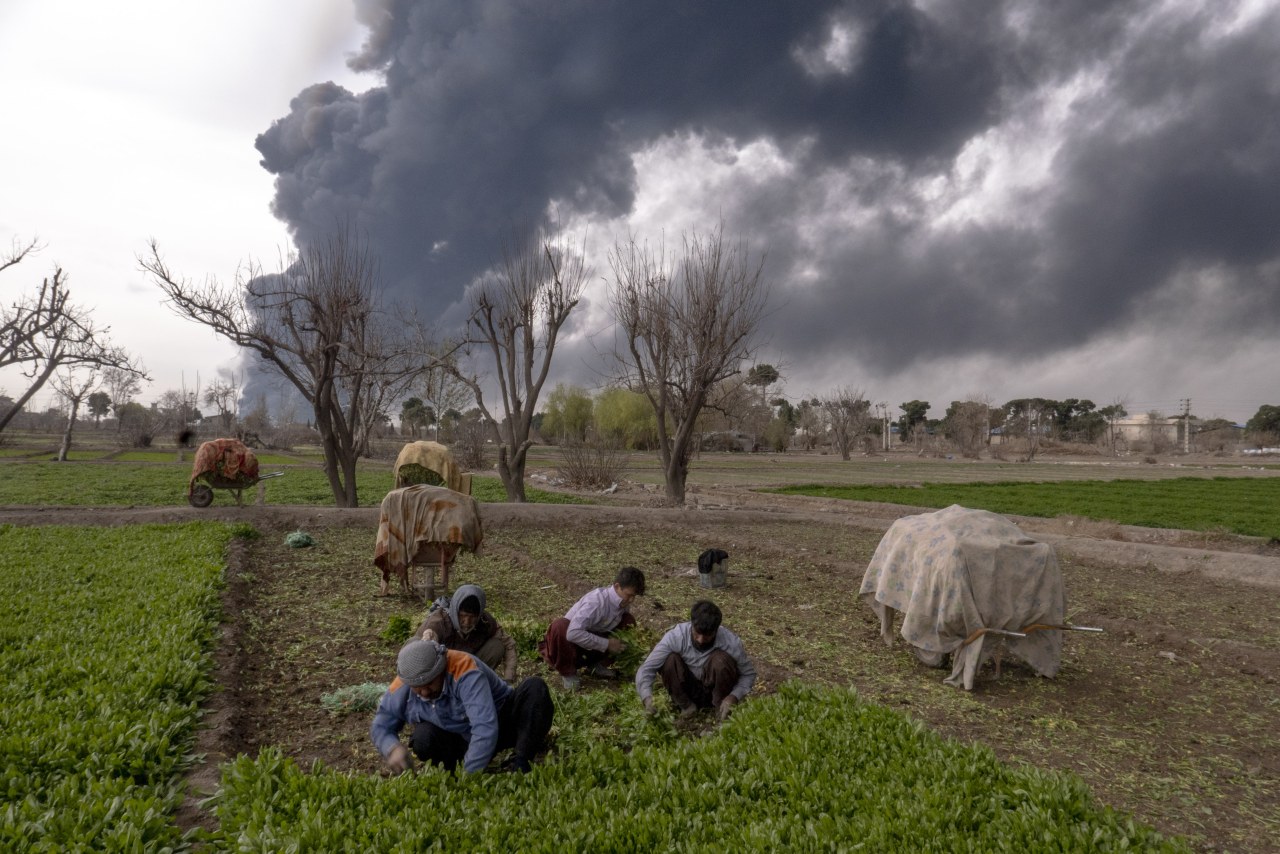 Farm workers harvest crops as smoke clouds the sky after airstrikes on oil depots in Tehran.